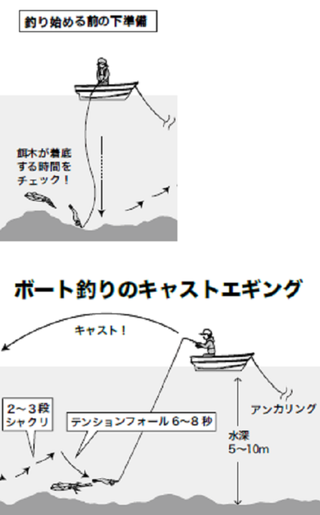 アオリイカ～船＆ボートで乗っ込みの大アオリ！～