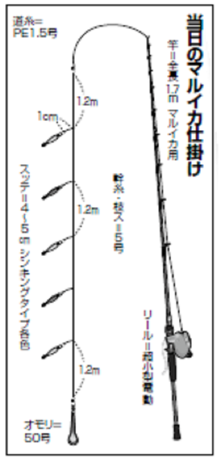 相模湾のマルイカ連日反応バッチリ！今後はエリアの広がりと安定化に期待