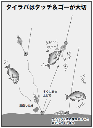 釣行の図