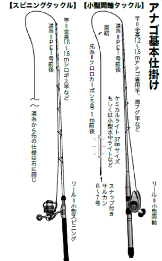 夜アナゴ入門 船長のマル秘テク