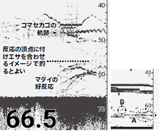 魚群探知機の図