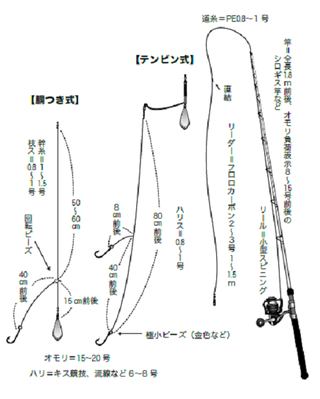 東京湾で初夏の魚を天ぷら種を確保 シロギス アナゴリレー