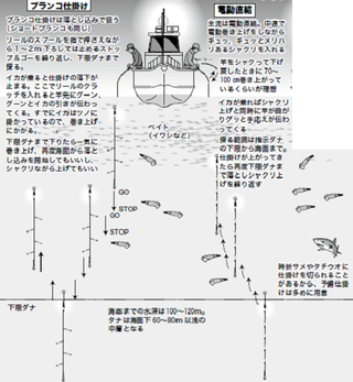 沼津の期間限定ナイトゲーム 夜ムギイカ