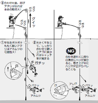 福田豊起のアカムツ釣り教室 前編