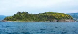 半島の写真