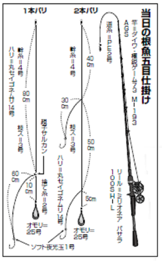 多彩なカサゴ ハタ類を狙う根魚天国 真鶴沖が面白い