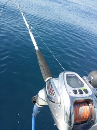 ロッドとリールの写真