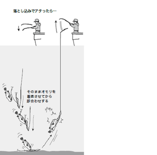 デカくて太い鹿島の夏フグ大人食い フグ