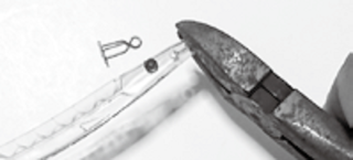 プラヅノの写真