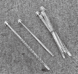 プラヅノの写真