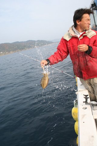 海水を吐くイカの写真