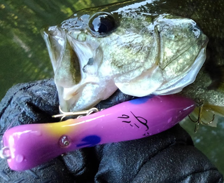 ジグスピナーって使ってる 実はメッチャ釣れるコスパ優秀なルアー