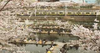 東京の釣り堀で魚に触れたい おすすめスポット 市ヶ谷フィッシュセンター