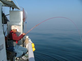 加太のメバル釣行記 産卵後の食い渋りメバルに悪戦苦闘 バラシを軽減する秘策とは