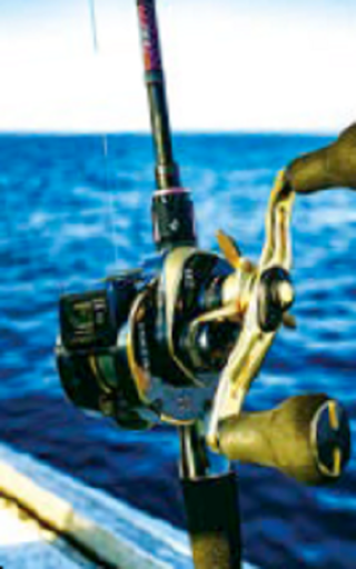 タックルの写真