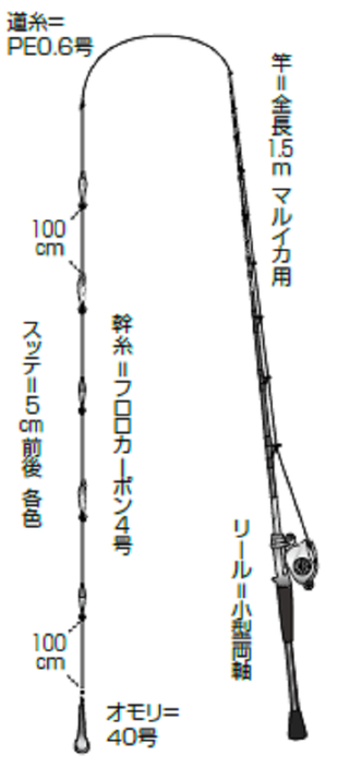 乗り乗りで8連釣 真鶴沖のマルイカ活況