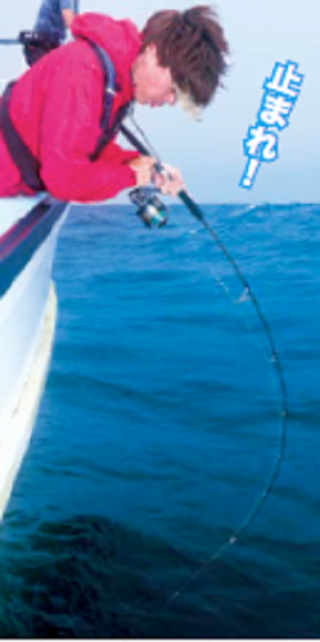釣行の写真