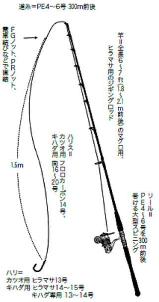 ライブベイトで挑む カツオ キハダ