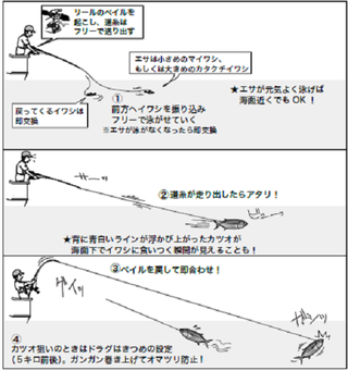 ライブベイトで挑む！カツオ・キハダ