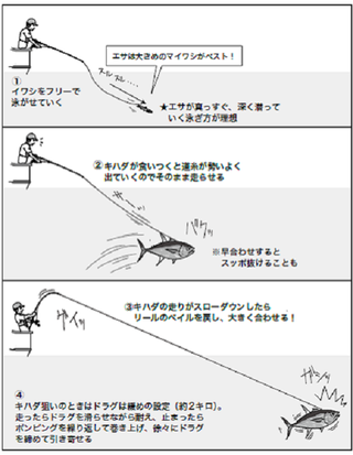 釣り方の図