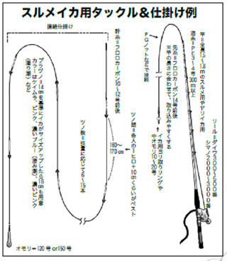 スルメの傾向と対策はyaccoさんに訊け