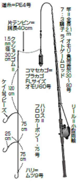 南房イサキ絶好調 多点掛けで入れ食い