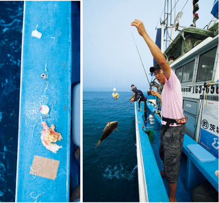 釣行の写真