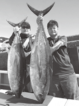 【超安い】 開幕！キハダ・カツオ【後編】激釣続くフカセ＆一本釣り その他