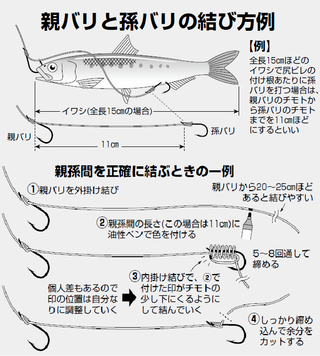 時代が変われば仕掛けも変わる～令和版！！沖釣り仕掛けガイド