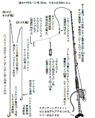 相模湾 駿河湾のキハダ カツオ