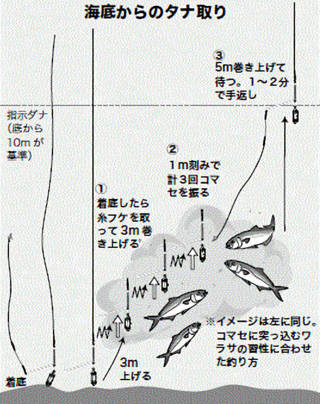 鯛、ワラサ竿　2本セット価格 取りに来てくれる方限定 (横浜市磯子区) 鯛、ワラサ竿2本セット価格 取りに来てくれる方限定 (横浜市磯子区)