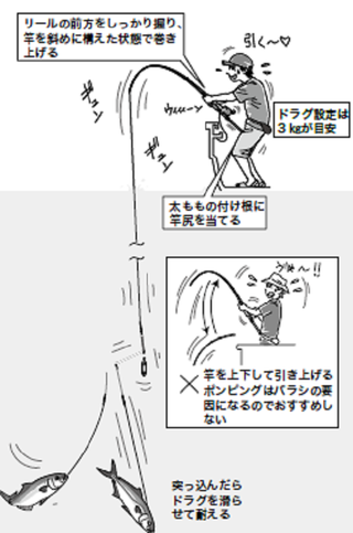 釣り方の図