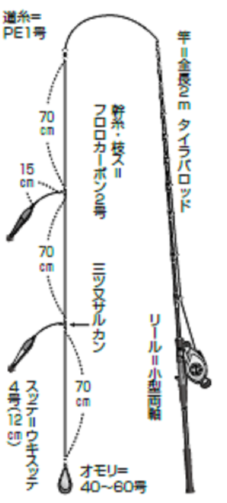 夜焚きアカイカ開幕！数釣りは手返しが肝心