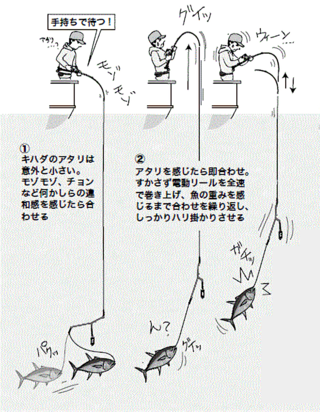 エサ釣り&エビング必釣テク】キハダ・カツオ(ちがさき丸 エサ釣り&エビング必釣テク】キハダ・カツオ(ちがさき丸