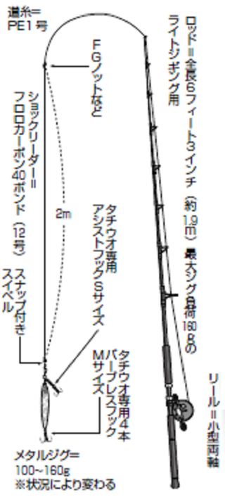 初挑戦でツ抜け達成も 東京湾のルアタチ大盛況