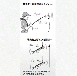 釣り方の図