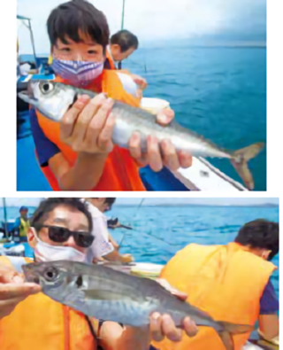 スズミ製　　船釣竿 中通し3本繋ぎ　アジ　サビキ　五目釣り　初心者 スズミ製 船釣竿 中通し3本繋ぎ アジ サビキ 五目釣り 初心者