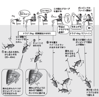釣り方の図