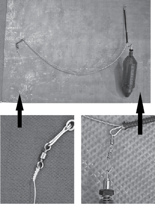 テンビンの写真