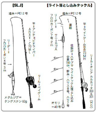 タカハシゴーの親子でゴー 沖釣りをめぐる父と子の冒険と成長の物語 第66回 ライト落とし込みで秋の大祭を執り行うのだ