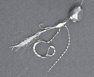 タイラバの写真