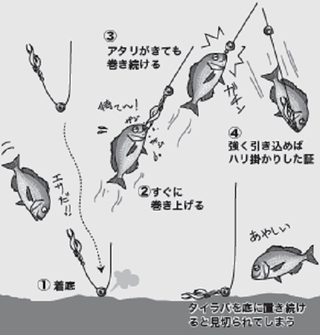 釣り方の図