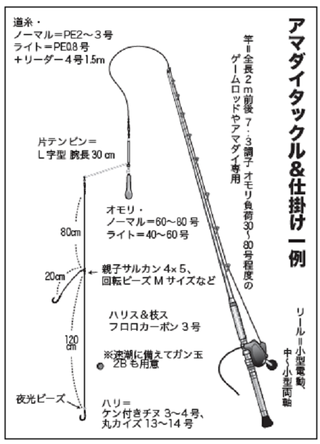 小さな秋の遊び方 アマダイ 赤を愛で白を夢見て相模湾