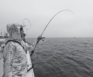 釣行の写真
