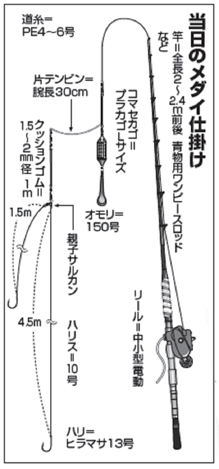 トルクフルな強引にシビれる 南伊豆ではメダイとファイト