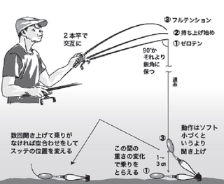 小さな秋の遊び方 イイダコ テンヤの基本 大西了路のスッテ釣法