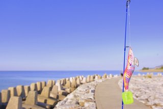 ロッドとエギの写真