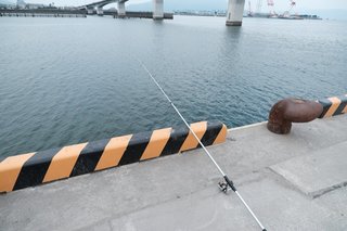 夜のサビキ釣りは魅力満載 釣れる魚からポイント 仕掛け 注意点まで一挙ご紹介