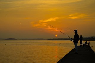 夜のサビキ釣りは魅力満載 釣れる魚からポイント 仕掛け 注意点まで一挙ご紹介