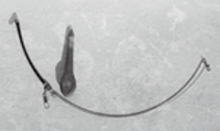 テンビンの写真